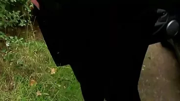 Σκηνή Doggystyle με τη σαγηνευτική Dana DeArmond δημητρα ματσουκα χχχ από τον Evil Angel